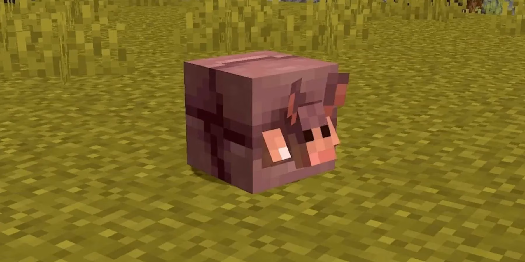minecraft-s-armadillo-my-front-facing-eyes-story-and-the-mob-vote-debate-image-0